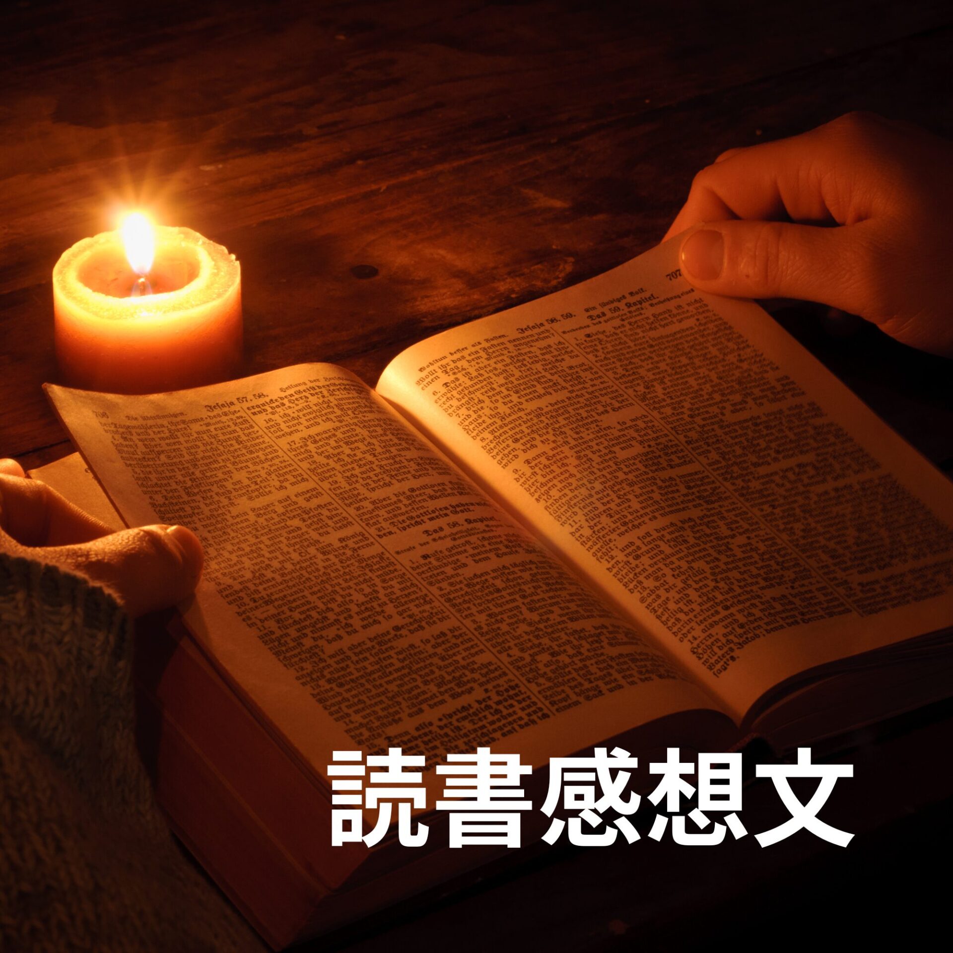 ライオンのおやつ　読了